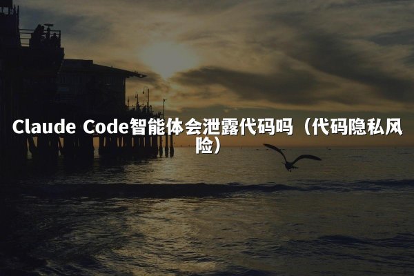 Claude Code智能体会泄露代码吗（代码隐私风险）