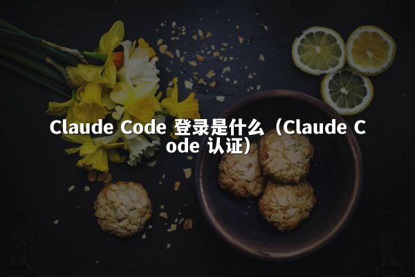 Claude Code 登录是什么（Claude Code 认证）