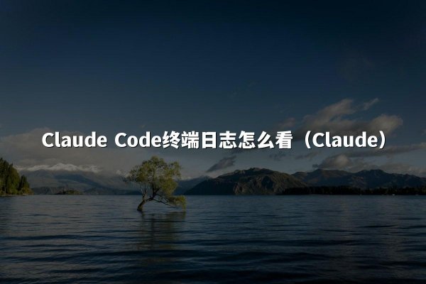 Claude Code终端日志怎么看（Claude）