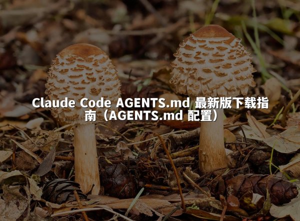 Claude Code AGENTS.md 最新版下载指南（AGENTS.md 配置）