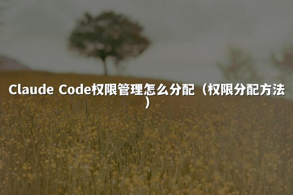 Claude Code权限管理怎么分配（权限分配方法）