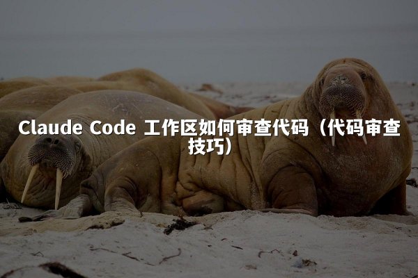 Claude Code 工作区如何审查代码（代码审查技巧）