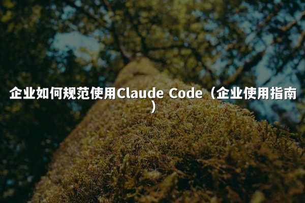 企业如何规范使用Claude Code（企业使用指南）
