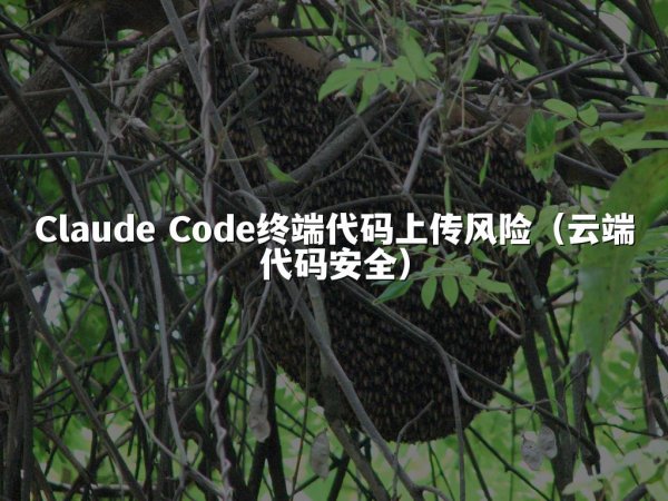 Claude Code终端代码上传风险（云端代码安全）