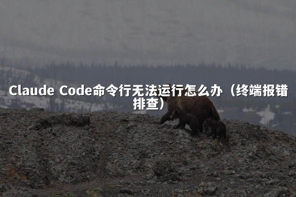 开元棋牌平台 Code命令行无法运行怎么办（终端报错排查）