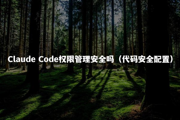 Claude Code权限管理安全吗（代码安全配置）