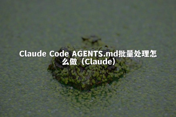 Claude Code AGENTS.md批量处理怎么做（Claude）