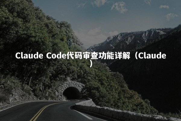 Claude Code代码审查功能详解（Claude）