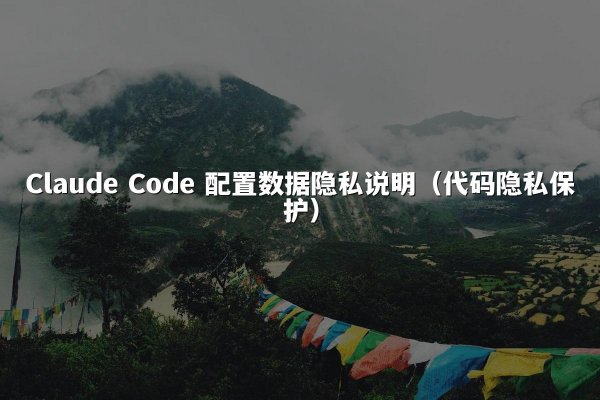 Claude Code 配置数据隐私说明（代码隐私保护）