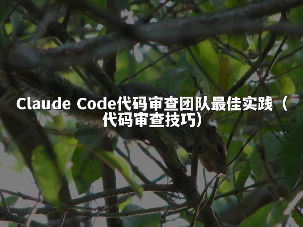 Claude Code代码审查团队最佳实践（代码审查技巧）