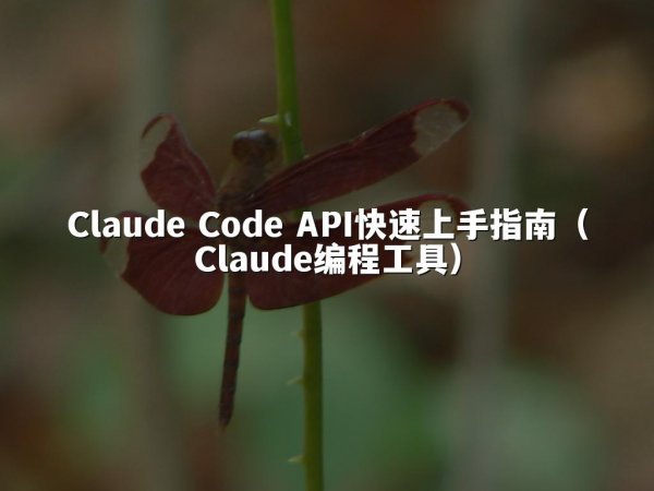 Claude Code API快速上手指南（Claude编程工具）