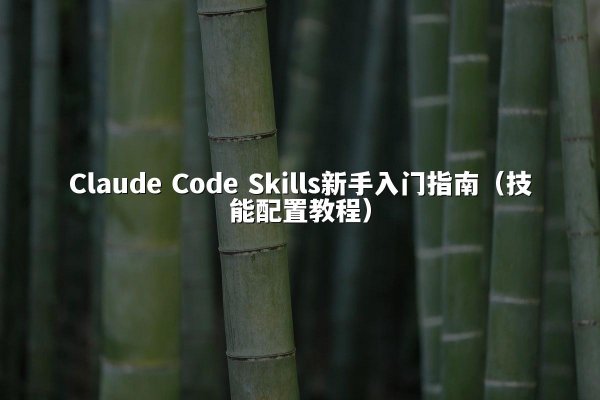Claude Code Skills新手入门指南（技能配置教程）