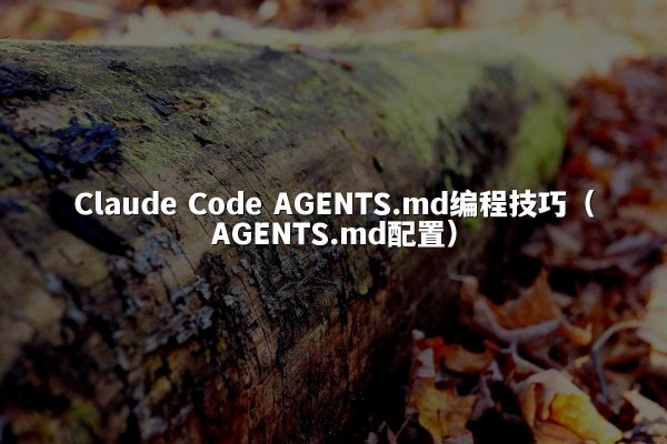 Claude Code AGENTS.md编程技巧（AGENTS.md配置）