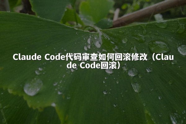 Claude Code代码审查如何回滚修改（Claude Code回滚）