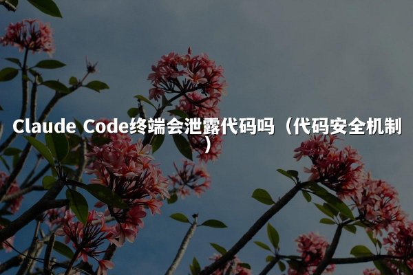 开元棋牌 Code终端会泄露代码吗（代码安全机制）
