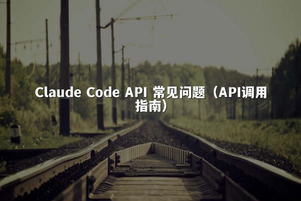 Claude Code API 常见问题（API调用指南）