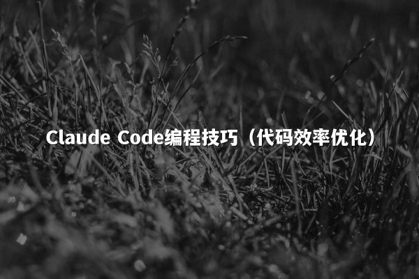 Claude Code编程技巧（代码效率优化）