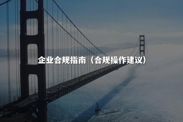 企业合规指南（合规操作建议）
