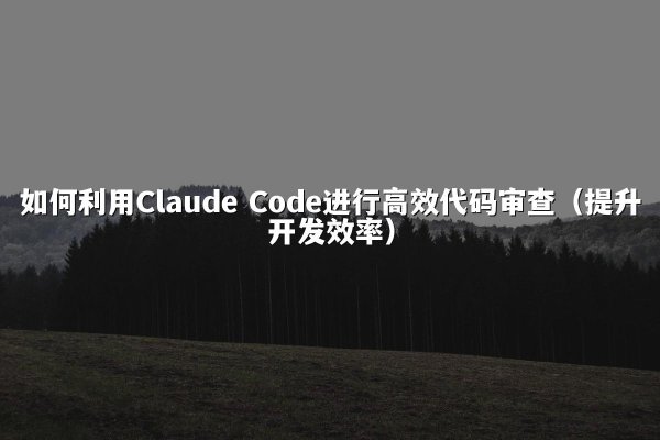 如何利用Claude Code进行高效代码审查（提升开发效率）