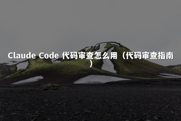 Claude Code 代码审查怎么用（代码审查指南）