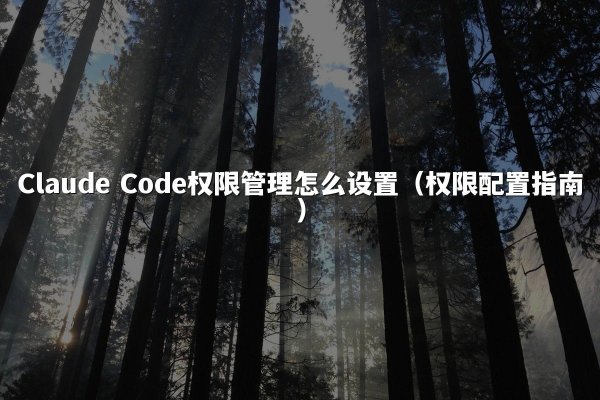 Claude Code权限管理怎么设置（权限配置指南）