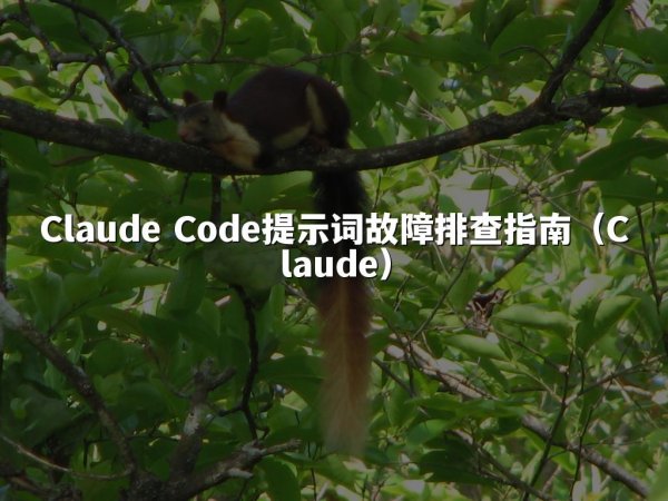 Claude Code提示词故障排查指南（Claude）