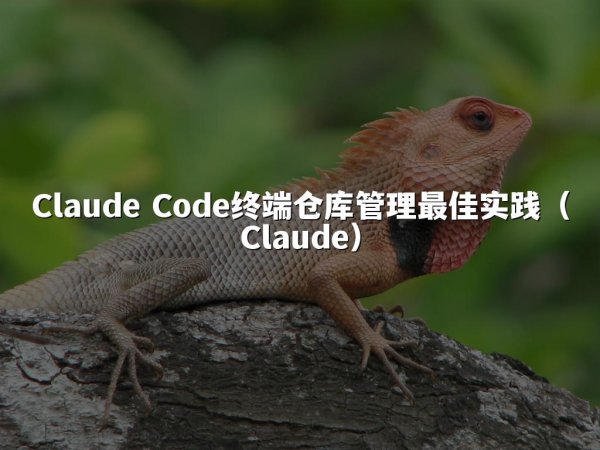 Claude Code终端仓库管理最佳实践（Claude）