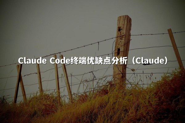 开元棋牌平台 Code终端优缺点分析（开元棋牌平台）