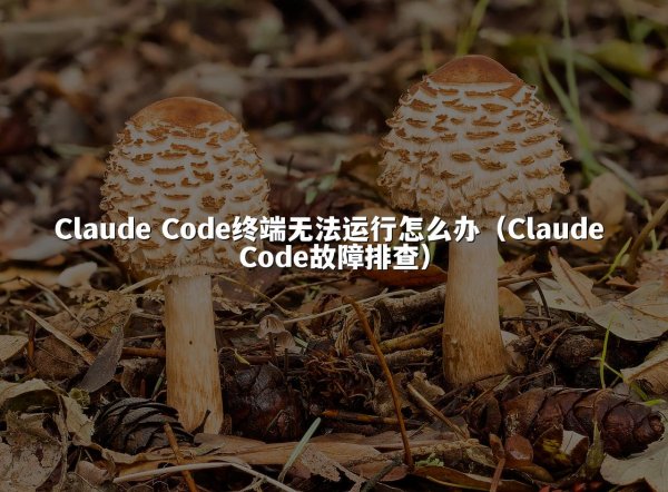 Claude Code终端无法运行怎么办（Claude Code故障排查）