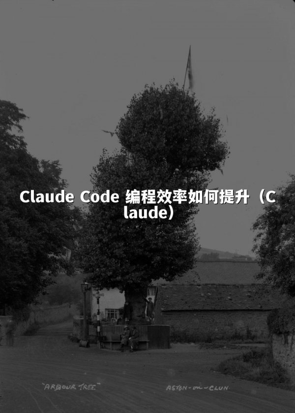 Claude Code 编程效率如何提升（Claude）