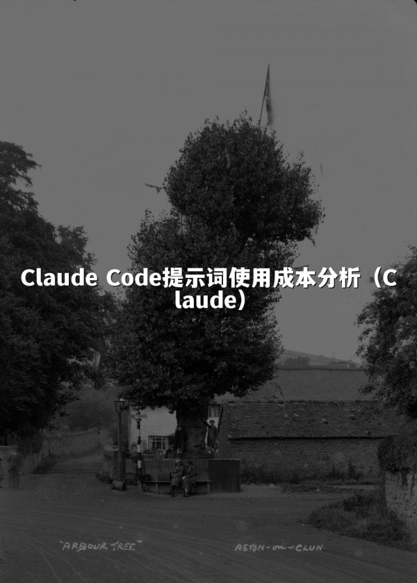 Claude Code提示词使用成本分析（Claude）