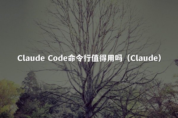 开元棋牌 Code命令行值得用吗（开元棋牌）