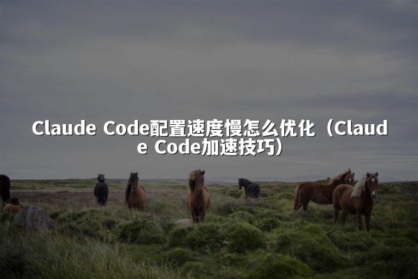 Claude Code配置速度慢怎么优化（Claude Code加速技巧）