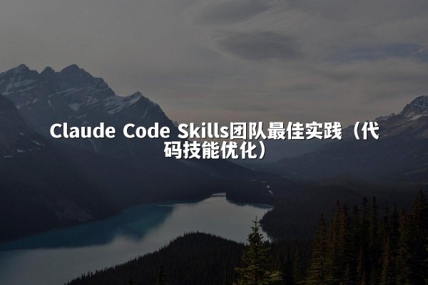 Claude Code Skills团队最佳实践（代码技能优化）