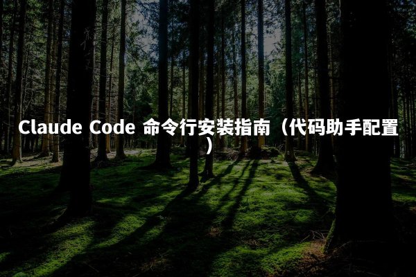Claude Code 命令行安装指南（代码助手配置）