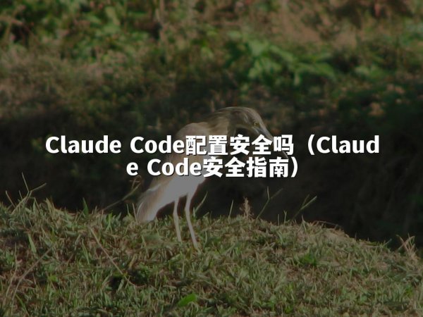 Claude Code配置安全吗（Claude Code安全指南）