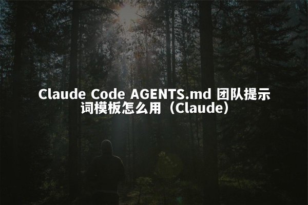 Claude Code AGENTS.md 团队提示词模板怎么用（Claude）