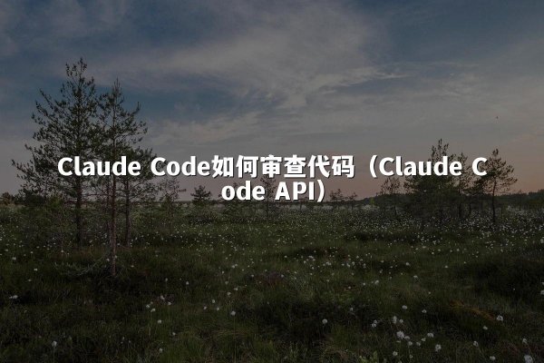 Claude Code如何审查代码（Claude Code API）