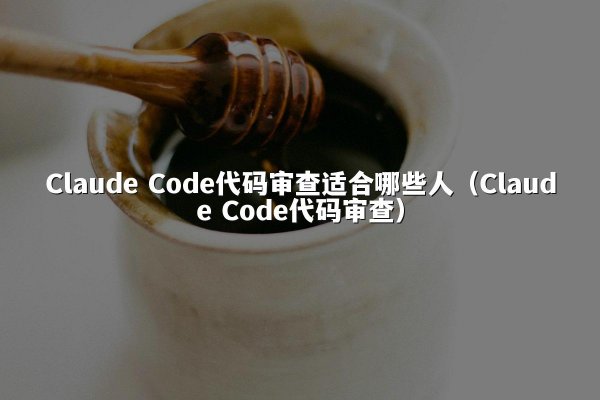 Claude Code代码审查适合哪些人（Claude Code代码审查）