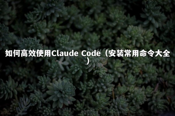 如何高效使用Claude Code（安装常用命令大全）