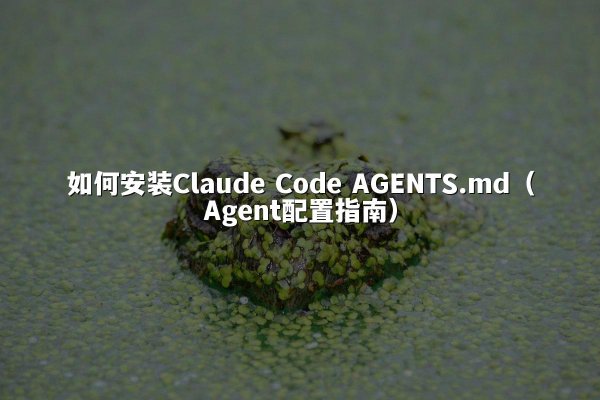 如何安装Claude Code AGENTS.md（Agent配置指南）