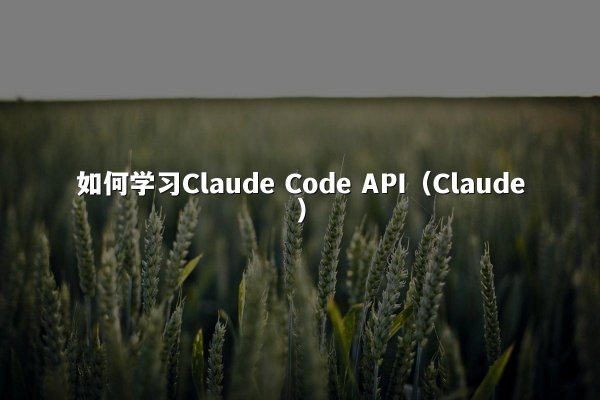 如何学习Claude Code API（Claude）