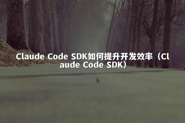 Claude Code SDK如何提升开发效率（Claude Code SDK）