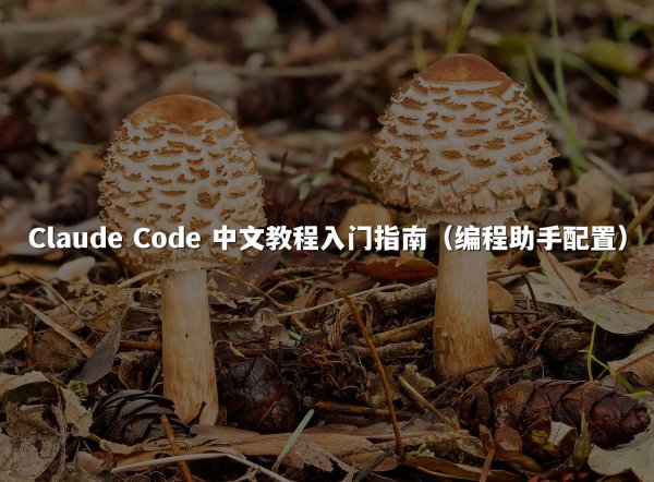 Claude Code 中文教程入门指南（编程助手配置）