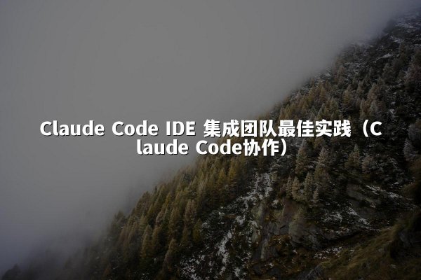 Claude Code IDE 集成团队最佳实践（Claude Code协作）