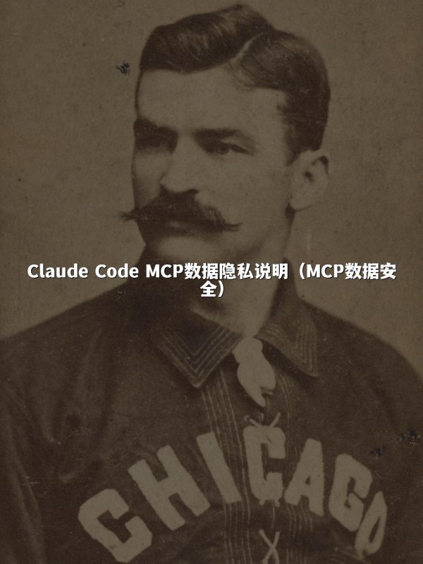 Claude Code MCP数据隐私说明（MCP数据安全）