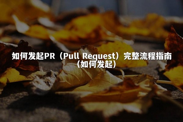 如何发起PR（Pull Request）完整流程指南（如何发起）