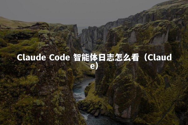 Claude Code 智能体日志怎么看（Claude）