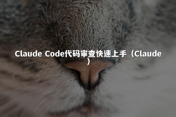 Claude Code代码审查快速上手（Claude）