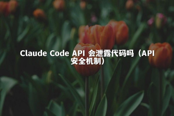 Claude Code API 会泄露代码吗（API安全机制）
